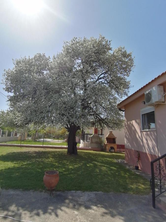 Αξέχαστη Διαμονή - Unforgettable Accommodation Nea Kallikrateia Luaran gambar
